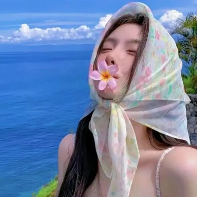 海龟奇妙之旅